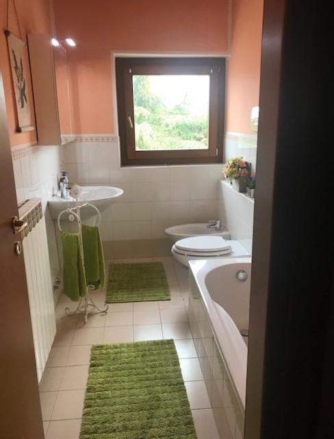 Attico Limoni Desenzano del Garda