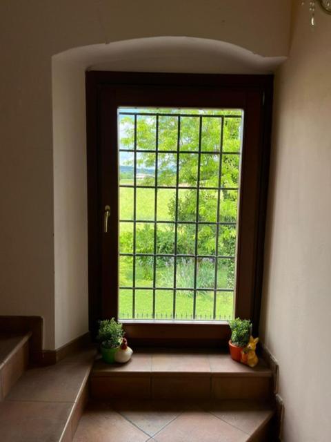 Attico Limoni *