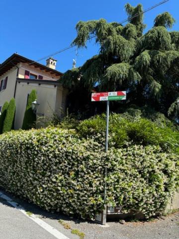 Attico Limoni Apartment Desenzano del Garda