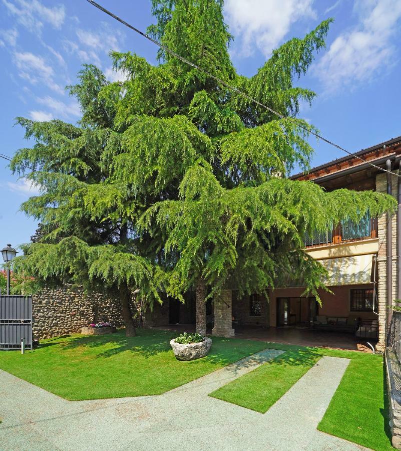 Apartment Attico Limoni